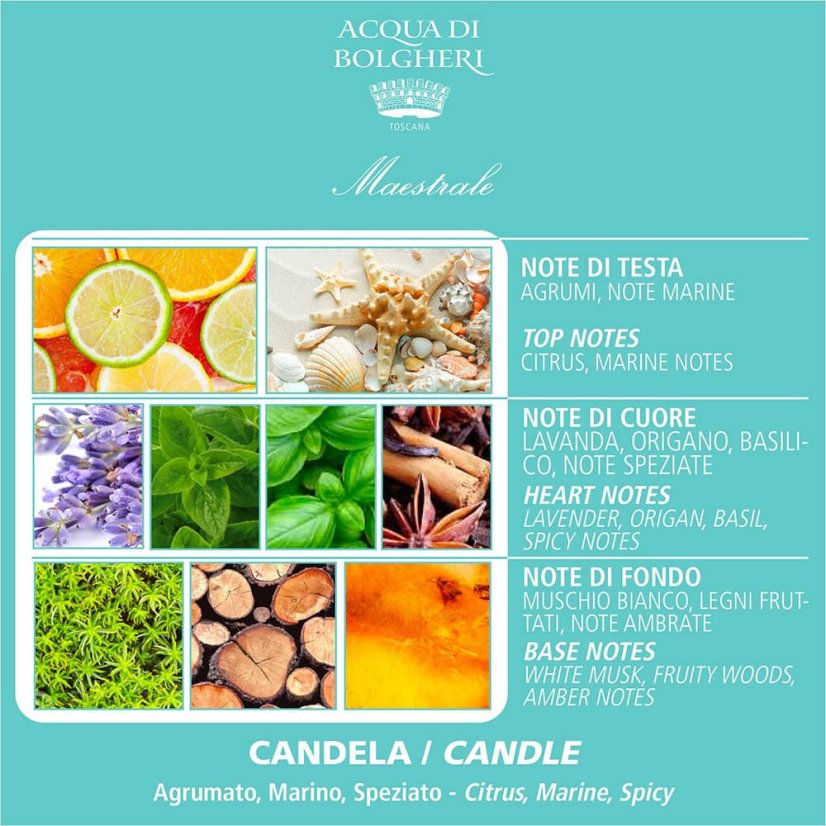 Sójová vonná svíčka Maestrale 200 g – složení vůně