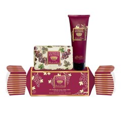 Dárková kazeta Acqua di Bolgheri – Bacche di Vinum