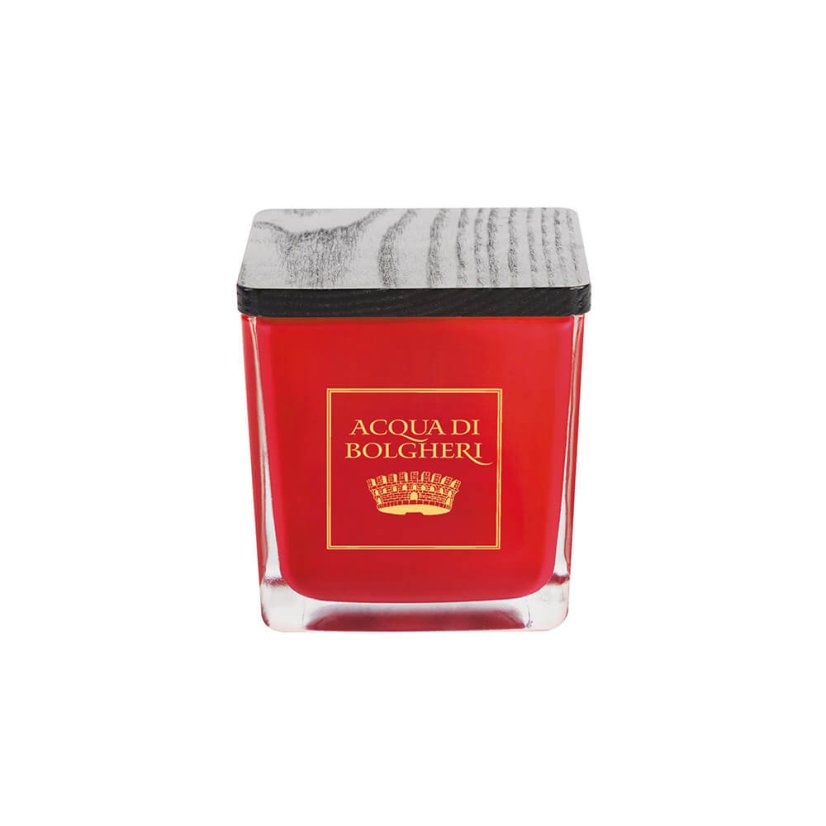 Vánoční sójová vonná svíčka Pan di Zenzero 200 g – zavřená s víčkem